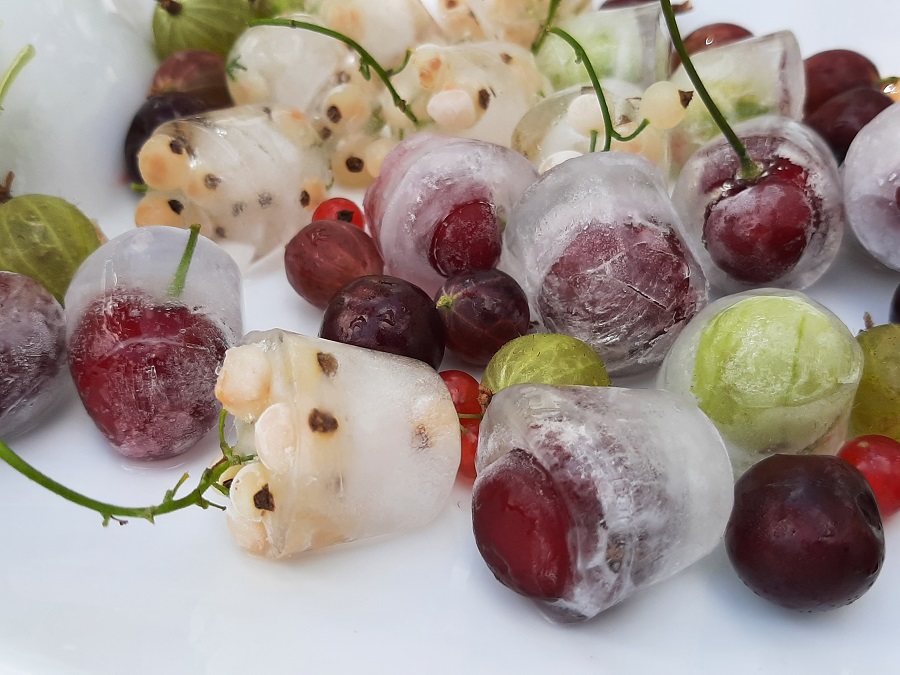 Efektowne kostki lodu z owocami